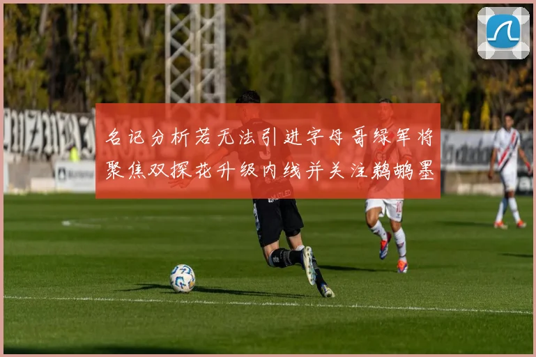 名记分析若无法引进字母哥绿军将聚焦双探花升级内线并关注鹈鹕墨菲
