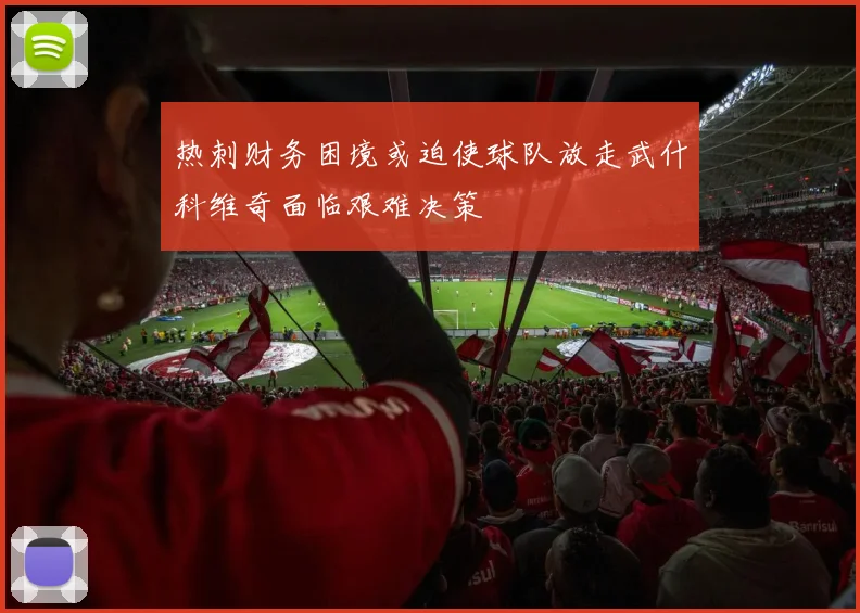 热刺财务困境或迫使球队放走武什科维奇面临艰难决策